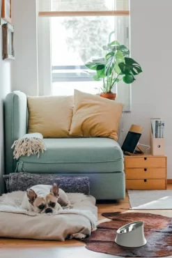 Alessi Wowl Hondenvoerbak 0,5L Zwart -Exporteren Accessoires & Meubels Winkel x886x886 alessi wowl hondenvoerbak 0 5l2.jpg.pagespeed.ic .x3UruN3XMX