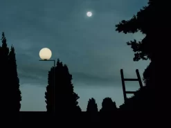 Flos IC Lights F1 Outdoor Vloerlamp Donkerbruin, Voet Beige -Exporteren Accessoires & Meubels Winkel x886x886 flos ic f1 outdoor vloerlamp19.jpg.pagespeed.ic .HM8TP2w 8a