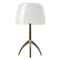 Foscarini Lumiere Piccola Tafellamp Dimbaar Champagne, Wit -Exporteren Accessoires & Meubels Winkel x886x886 foscarini lumiere piccola tafellamp champagne onderstel dimbaar8.jpg.pagespeed.ic .HA5 z3vppn