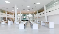 Gubi Gubi 3D Wood Barkruk Met Houten Onderstel 65 Cm, Walnoot -Exporteren Accessoires & Meubels Winkel x886x886 gubi gubi 3d wood barkruk met houten onderstel 75 cm2.jpg.pagespeed.ic .hbRU0E6sSw