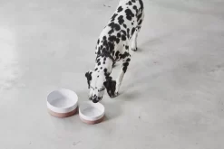 MiaCara Coppa Hondenvoerbak Small/medium Ø17.5 Nude 7 MiaCara Coppa Hondenvoerbak Small/medium Ø17.5 Nude -Exporteren Accessoires & Meubels Winkel x886x886 miacara coppa hondenvoerbak medium large3.jpg.pagespeed.ic .nO3WWk0rX6