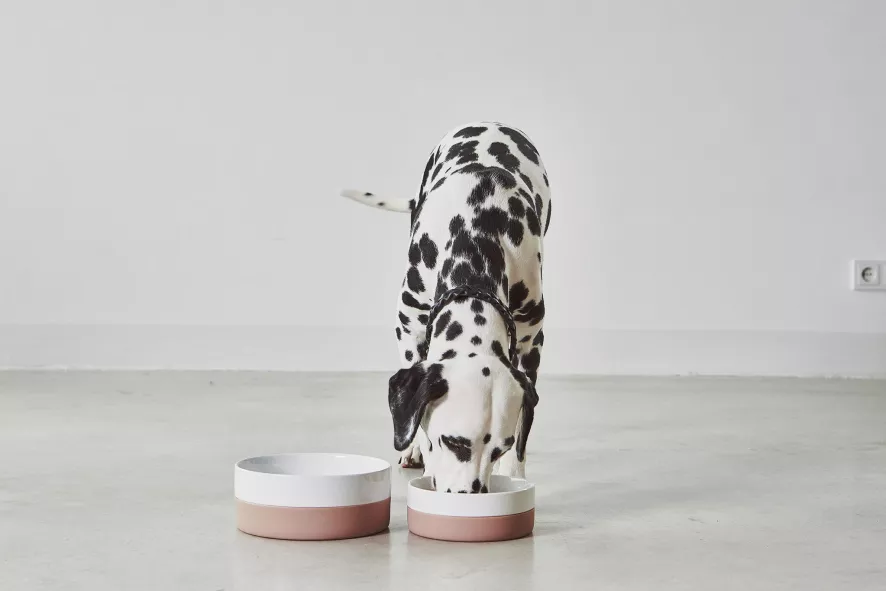 MiaCara Coppa Hondenvoerbak Small/medium Ø17.5 Nude 2 MiaCara Coppa Hondenvoerbak Small/medium Ø17.5 Nude - Afbeelding 2