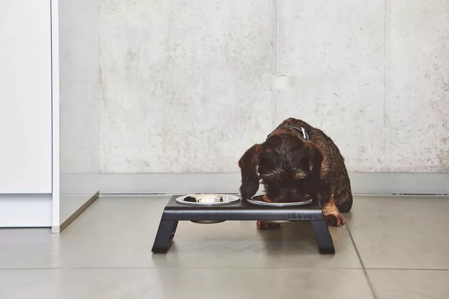 MiaCara Desco Hondenvoerbak Small Essen Naturel 2 MiaCara Desco Hondenvoerbak Small Essen Naturel - Afbeelding 2