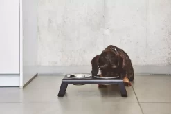 MiaCara Desco Hondenvoerbak Large Aluminium Zwart 15 MiaCara Desco Hondenvoerbak Large Aluminium Zwart -Exporteren Accessoires & Meubels Winkel x886x886 miacara desco hondenvoerbak medium22.jpg.pagespeed.ic .fb36z3ar8a