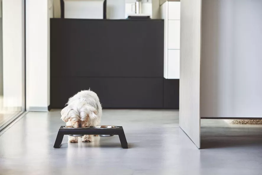 MiaCara Desco Hondenvoerbak Small Essen Naturel 7 MiaCara Desco Hondenvoerbak Small Essen Naturel - Afbeelding 7