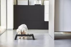 MiaCara Desco Hondenvoerbak Medium Essen Grijs 19 MiaCara Desco Hondenvoerbak Medium Essen Grijs -Exporteren Accessoires & Meubels Winkel x886x886 miacara desco hondenvoerbak medium23.jpg.pagespeed.ic .l3VZwi4VJ2 4