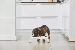 MiaCara Desco Hondenvoerbak Medium Aluminium Zwart 20 MiaCara Desco Hondenvoerbak Medium Aluminium Zwart -Exporteren Accessoires & Meubels Winkel x886x886 miacara desco hondenvoerbak medium24.jpg.pagespeed.ic .aUY84Z4sB 3