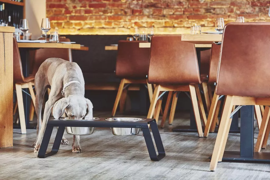 MiaCara Desco Hondenvoerbak Medium Aluminium Zwart 6 MiaCara Desco Hondenvoerbak Medium Aluminium Zwart - Afbeelding 6