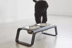 MiaCara Desco Hondenvoerbak Medium Aluminium Zwart 23 MiaCara Desco Hondenvoerbak Medium Aluminium Zwart -Exporteren Accessoires & Meubels Winkel x886x886 miacara desco hondenvoerbak medium27.jpg.pagespeed.ic .Zjv6Zx4qMs 1