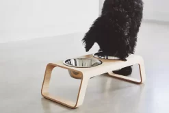 MiaCara Desco Hondenvoerbak Medium Essen Grijs 25 MiaCara Desco Hondenvoerbak Medium Essen Grijs -Exporteren Accessoires & Meubels Winkel x886x886 miacara desco hondenvoerbak medium28.jpg.pagespeed.ic . R9ZwlTrx 2