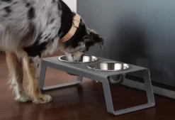 MiaCara Desco Hondenvoerbak Medium Aluminium Zwart 27 MiaCara Desco Hondenvoerbak Medium Aluminium Zwart -Exporteren Accessoires & Meubels Winkel x886x886 miacara desco hondenvoerbak medium30.jpg.pagespeed.ic .hO8vdqdI84 2