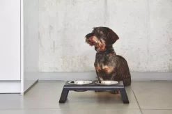 MiaCara Desco Hondenvoerbak Medium Aluminium Zwart 30 MiaCara Desco Hondenvoerbak Medium Aluminium Zwart -Exporteren Accessoires & Meubels Winkel x886x886 miacara desco hondenvoerbak medium34.jpg.pagespeed.ic .1Ds QXa7yc 3