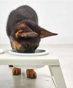 MiaCara Desco Hondenvoerbak Porselein Small Essen Zwart -Exporteren Accessoires & Meubels Winkel x886x886 miacara desco hondenvoerbak porselein small10.jpg.pagespeed.ic .AMcJWS1AjF 1