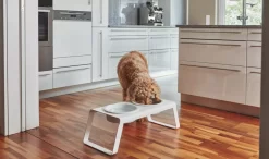 MiaCara Desco Hondenvoerbak Porselein Large Wit 9 MiaCara Desco Hondenvoerbak Porselein Large Wit -Exporteren Accessoires & Meubels Winkel x886x886 miacara desco hondenvoerbak porselein small11.jpg.pagespeed.ic .hjPOMS Fdl 2