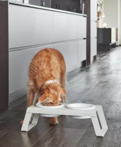 MiaCara Desco Hondenvoerbak Porselein Small Essen Zwart -Exporteren Accessoires & Meubels Winkel x886x886 miacara desco hondenvoerbak porselein small13.jpg.pagespeed.ic .oUbyeaamyF 1