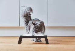 MiaCara Desco Kattenvoerbak Porselein Grijs -Exporteren Accessoires & Meubels Winkel x886x886 miacara desco kattenvoerbak porselein9.jpg.pagespeed.ic .HZkilIVJP9