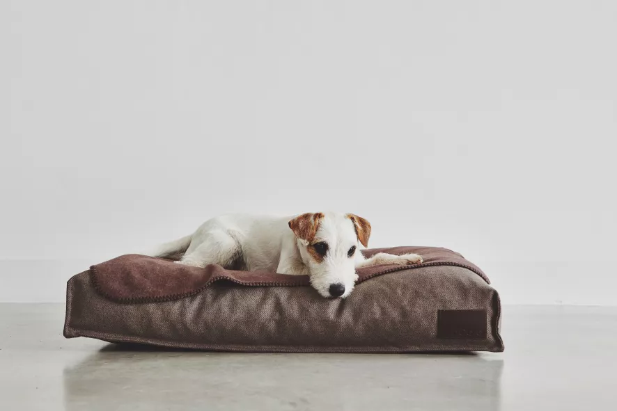 MiaCara Divo Hondenkussen Large Mocca 2 MiaCara Divo Hondenkussen Large Mocca - Afbeelding 2