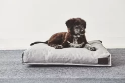 MiaCara Divo Hondenkussen Medium Slate -Exporteren Accessoires & Meubels Winkel x886x886 miacara divo hondenkussen small.jpg.pagespeed.ic .VE 6keVMre