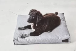 MiaCara Divo Hondenkussen Medium Slate -Exporteren Accessoires & Meubels Winkel x886x886 miacara divo hondenkussen small1.jpg.pagespeed.ic .YQ89j5Z2A8