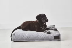 MiaCara Divo Hondenkussen Medium Slate -Exporteren Accessoires & Meubels Winkel x886x886 miacara divo hondenkussen small2.jpg.pagespeed.ic .S5alnara7G