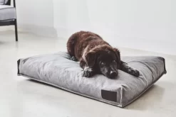 MiaCara Divo Hondenkussen Medium Slate -Exporteren Accessoires & Meubels Winkel x886x886 miacara divo hondenkussen small3.jpg.pagespeed.ic .h9QXAPk FZ