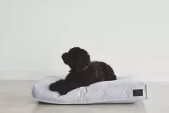 MiaCara Divo Hondenkussen Medium Slate -Exporteren Accessoires & Meubels Winkel x886x886 miacara divo hondenkussen small5.jpg.pagespeed.ic .sUtZW6R9mS