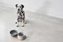 MiaCara Doppio Hondenvoerbak Medium Berry -Exporteren Accessoires & Meubels Winkel x886x886 miacara doppio hondenvoerbak met blad small2.jpg.pagespeed.ic .tUs uRjTaH