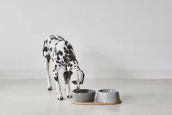 MiaCara Doppio Hondenvoerbak Medium Berry -Exporteren Accessoires & Meubels Winkel x886x886 miacara doppio hondenvoerbak met blad small4.jpg.pagespeed.ic .k5EHvUDsAI