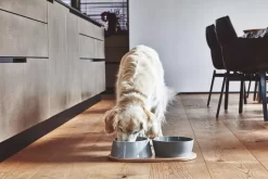 MiaCara Doppio Hondenvoerbak Medium Berry -Exporteren Accessoires & Meubels Winkel x886x886 miacara doppio hondenvoerbak met blad small5.jpg.pagespeed.ic .HcMPezkce3