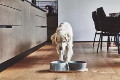 MiaCara Doppio Hondenvoerbak Medium Berry -Exporteren Accessoires & Meubels Winkel x886x886 miacara doppio hondenvoerbak met blad small6.jpg.pagespeed.ic .VrybShbAqK