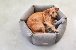 MiaCara Felice Hondenmand Ø60 Small Sand -Exporteren Accessoires & Meubels Winkel x886x886 miacara felice hondenmand large2.jpg.pagespeed.ic .s88Yfm XQC