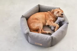 MiaCara Felice Hondenmand Ø60 Small Sand -Exporteren Accessoires & Meubels Winkel x886x886 miacara felice hondenmand large4.jpg.pagespeed.ic .1YkWjr7xok