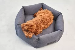 MiaCara Felice Hondenmand Ø60 Small Sand -Exporteren Accessoires & Meubels Winkel x886x886 miacara felice hondenmand large7.jpg.pagespeed.ic .Q yoH1Z3WT