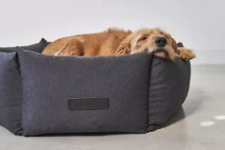 MiaCara Felice Hondenmand Ø60 Small Sand -Exporteren Accessoires & Meubels Winkel x886x886 miacara felice hondenmand large9.jpg.pagespeed.ic .0LZ2tOuOYV