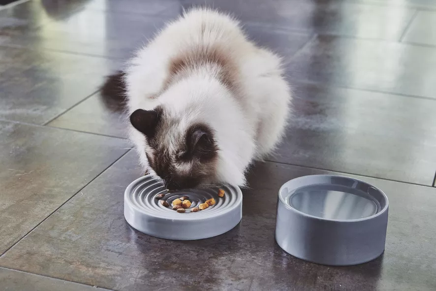 MiaCara Fresco Kattenvoerbak Nougat 4 MiaCara Fresco Kattenvoerbak Nougat - Afbeelding 4