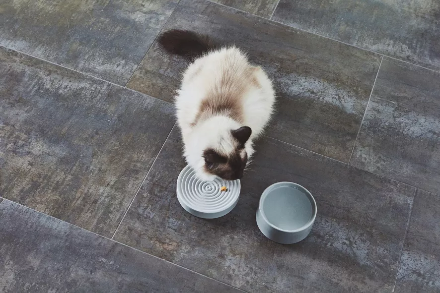 MiaCara Fresco Kattenvoerbak Nougat 7 MiaCara Fresco Kattenvoerbak Nougat - Afbeelding 7