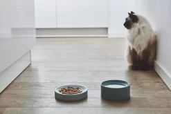 MiaCara Fresco Kattenvoerbak Nougat 9 MiaCara Fresco Kattenvoerbak Nougat -Exporteren Accessoires & Meubels Winkel x886x886 miacara fresco kattenvoerbak5.jpg.pagespeed.ic .nGAlJjMd e