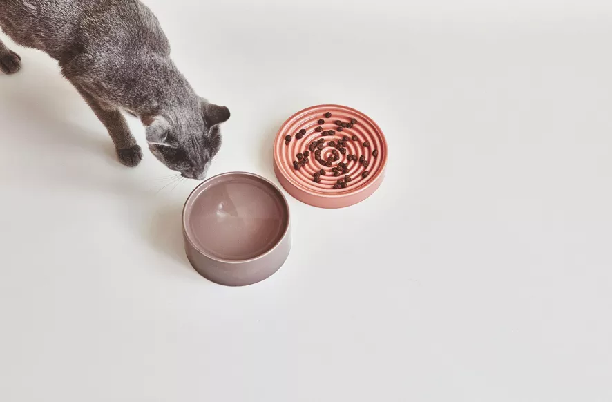 MiaCara Fresco Kattenvoerbak Nougat 5 MiaCara Fresco Kattenvoerbak Nougat - Afbeelding 5