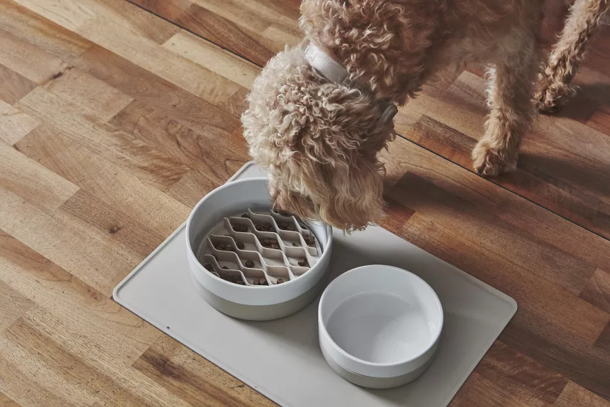 MiaCara Lento Hondenvoerbak Inzetstuk Large Slate 3 MiaCara Lento Hondenvoerbak Inzetstuk Large Slate - Afbeelding 3