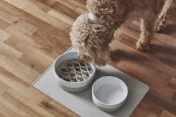 MiaCara Lento Hondenvoerbak Inzetstuk Small Slate -Exporteren Accessoires & Meubels Winkel x886x886 miacara lento hondenvoerbak inzetstuk large2.jpg.pagespeed.ic .kl9hHNbIw3