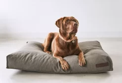 MiaCara Mare Hondenkussen Large Rock -Exporteren Accessoires & Meubels Winkel x886x886 miacara mare hondenkussen large5.jpg.pagespeed.ic .oLIIJ gxo