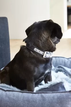 MiaCara Nube Hondenmand Small Tabacco -Exporteren Accessoires & Meubels Winkel x886x886 miacara nube hondenmand small21.jpg.pagespeed.ic .flBGihibq1 2