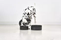 MiaCara Scodella Hondenvoerbak Large Cement -Exporteren Accessoires & Meubels Winkel x886x886 miacara scodella hondenvoerbak large1.jpg.pagespeed.ic .6RW7 9Fw M