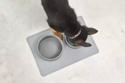 MiaCara Scodella Hondenvoerbak Large Cement -Exporteren Accessoires & Meubels Winkel x886x886 miacara scodella hondenvoerbak large4.jpg.pagespeed.ic .PlhIR9G4N