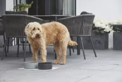 MiaCara Scodella Hondenvoerbak Large Cement -Exporteren Accessoires & Meubels Winkel x886x886 miacara scodella hondenvoerbak large5.jpg.pagespeed.ic .RJYgS1QFxZ