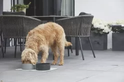 MiaCara Scodella Hondenvoerbak Large Cement -Exporteren Accessoires & Meubels Winkel x886x886 miacara scodella hondenvoerbak large6.jpg.pagespeed.ic .Nc0s0FVbuE