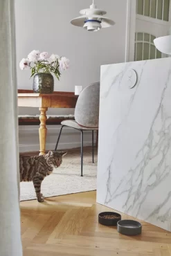 MiaCara Scodella Kattenvoerbak Graphite -Exporteren Accessoires & Meubels Winkel x886x886 miacara scodella kattenvoerbak3.jpg.pagespeed.ic .osFBmaxHOV