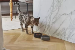 MiaCara Scodella Kattenvoerbak Graphite -Exporteren Accessoires & Meubels Winkel x886x886 miacara scodella kattenvoerbak4.jpg.pagespeed.ic .slk1JeAOPC