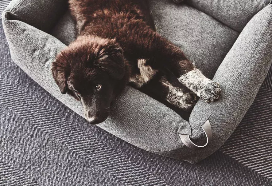 MiaCara Stella Hondenmand Large Mottled Slate 2 MiaCara Stella Hondenmand Large Mottled Slate - Afbeelding 2