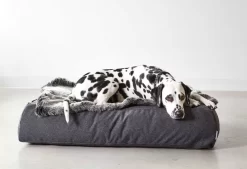 MiaCara Stella Lounge Hondenkussen Medium/large Mottled Anthracite -Exporteren Accessoires & Meubels Winkel x886x886 miacara stella lounge hondenkussen small medium3.jpg.pagespeed.ic .AW2ThZ0X1l